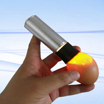 1 Uds. De gran , 9 destello de luz LED, Incubadora de huevos, lámpara de candelabro para huevos de eclosión oscuros claros