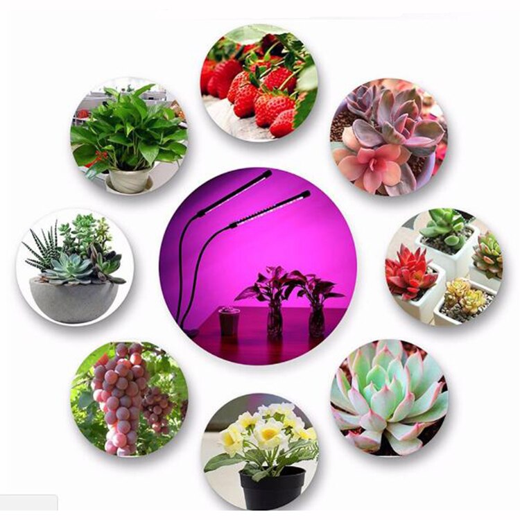 Groeiende Lampen Led Licht Groeien Volledige Spectrum Plant Verlichting Fitolampy Voor Indoor Planten Bloemen Zaailing Teelt Phyto Lamp