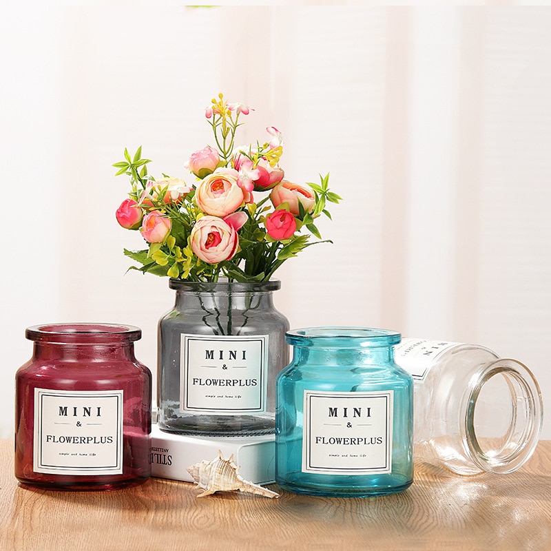 1pc Small Glass Vase Household Flower Vase Home Decoration Hydroponic Dried Flower Plants Holder