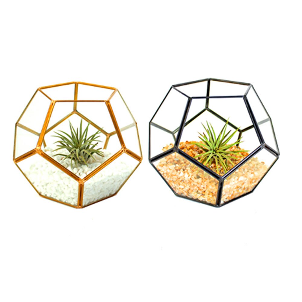 Planten Container Glas Voetbal Decor Vaas Creatieve Kaarshouder Geometrie Transparante