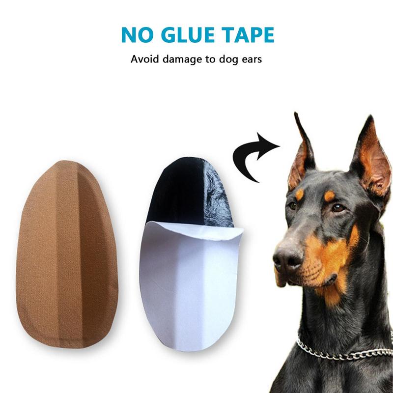 Hond oor postkit Vaste hond oor Stand Up Tool Ondersteuning Vaste Doberman hond oor postkit voor Doberman hond vanaf 2 maanden