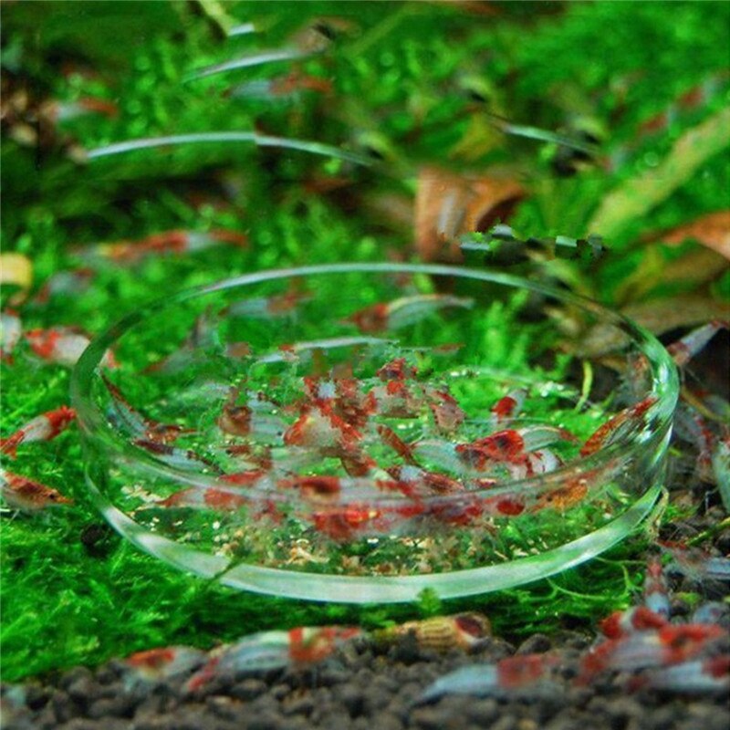Gennemsigtig glas krystal rejer fodring runde beholder mad fad feeder bakke akvarium akvarium fodring tropiske fiskeskål