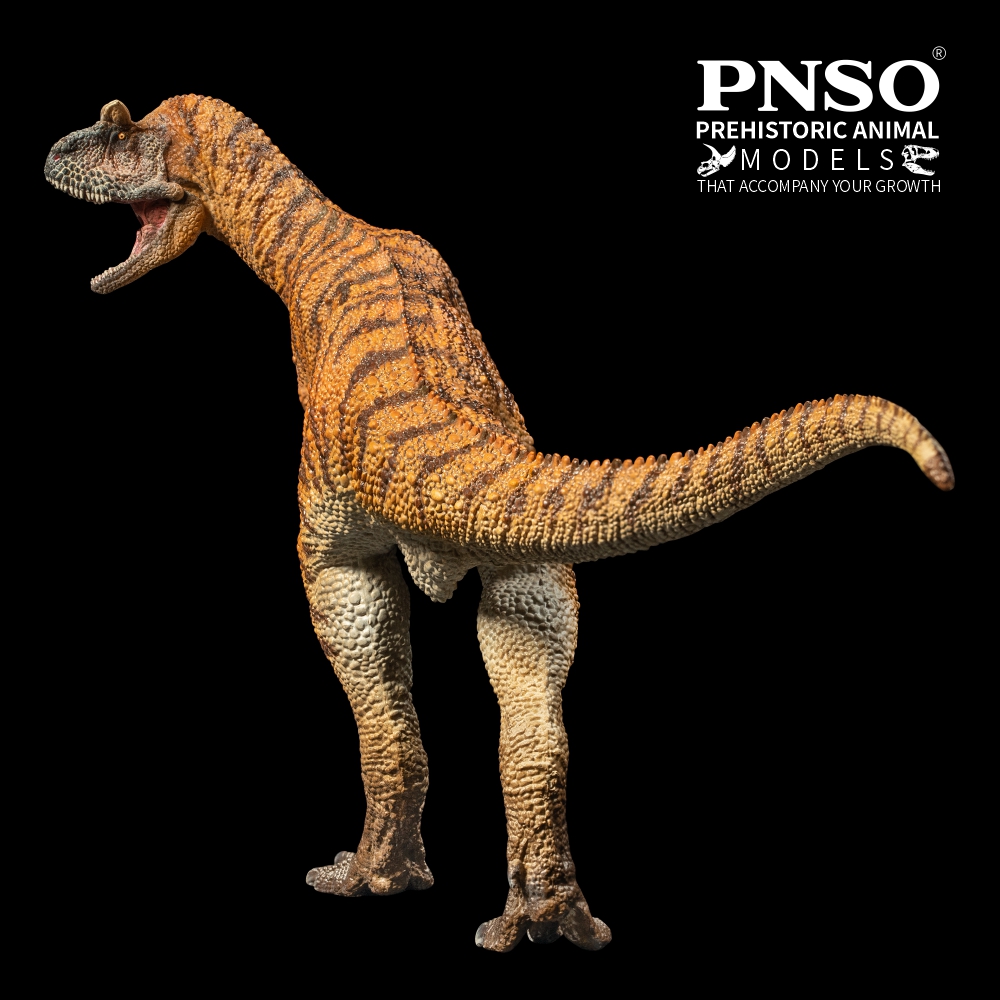 Pnso Prehistorische Dinosaurus Modellen: 36 Domingo De Carnotaurus
