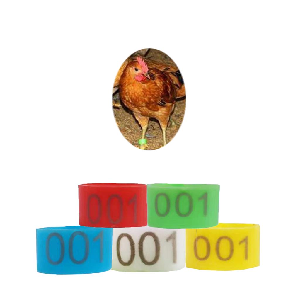 100 stk 20mm 001-100 nummererede plast fjerkræ kyllinger ænder gås benbånd ringe klip-på fjerkræ identifikationsbånd 5 farver