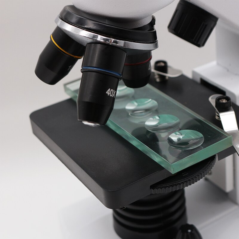 Tobogán de microscopio biológico de cristal, 5mm de grosor, 5 tobogán redondo cóncavo en blanco para investigación biológica, detección de líquidos, 1 unidad