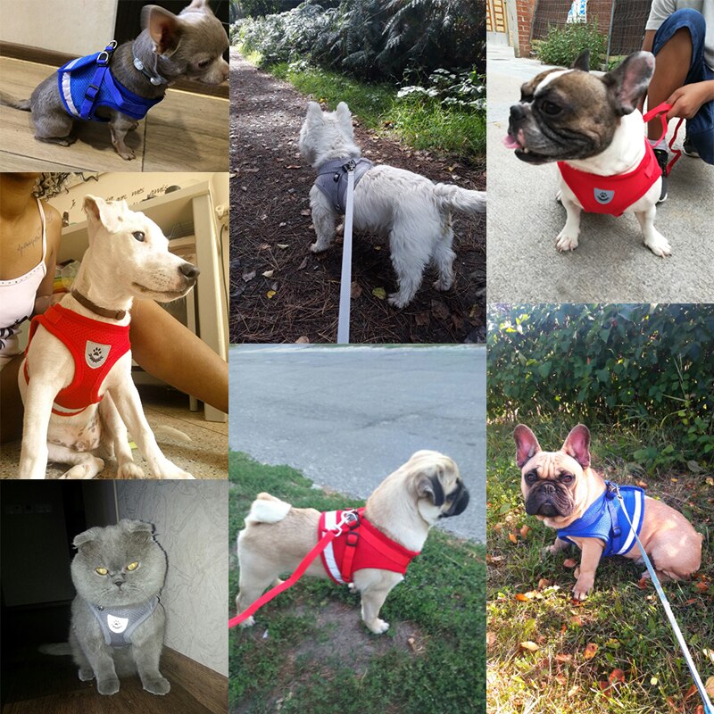 Harnais de chien en maille de Nylon pour petits chiens moyens gilet de chiot Chihuahua harnais de chat de marche réfléchissant laisse de plomb
