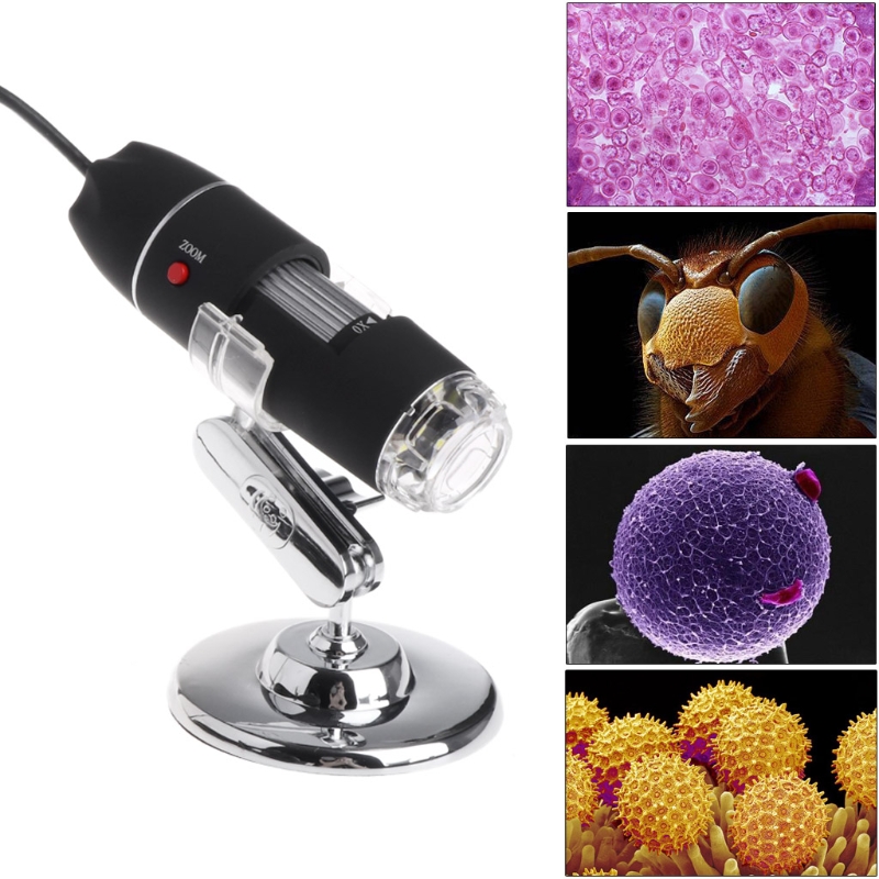 8LED 1600x USB Microscope numérique lentille électronique lumière loupe biologique Endoscope caméra support vidéo