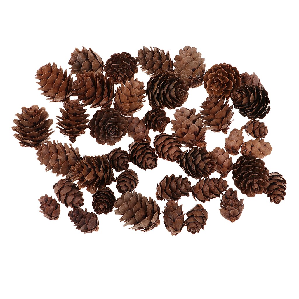 50 Pcs Decoratieve Dennenappels Ongeparfumeerde Voor Fall Winter Thuis