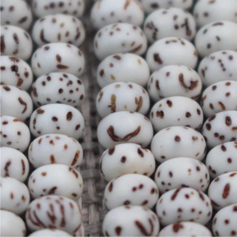 Hainan Xingyue Bodhi Original Seed Small Seed Mini Vegetable Beads Bracelet Buddhist Beads