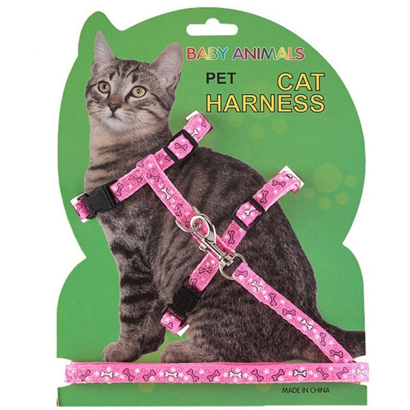 Harnas voor een kat, huisdier, kattenhalsband, harnas en riem, accessoires, verstelbaar kattentuig, tractieharnas, riem, kittenbenodigdheden, 4 kleuren: Rode kattenriem
