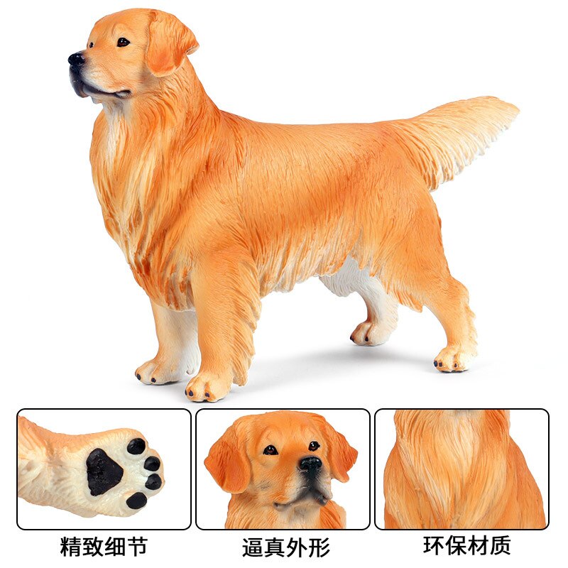 22*8*14.5CM solid simulation animal dog model big golden retriever pet dog child boy toy decoration