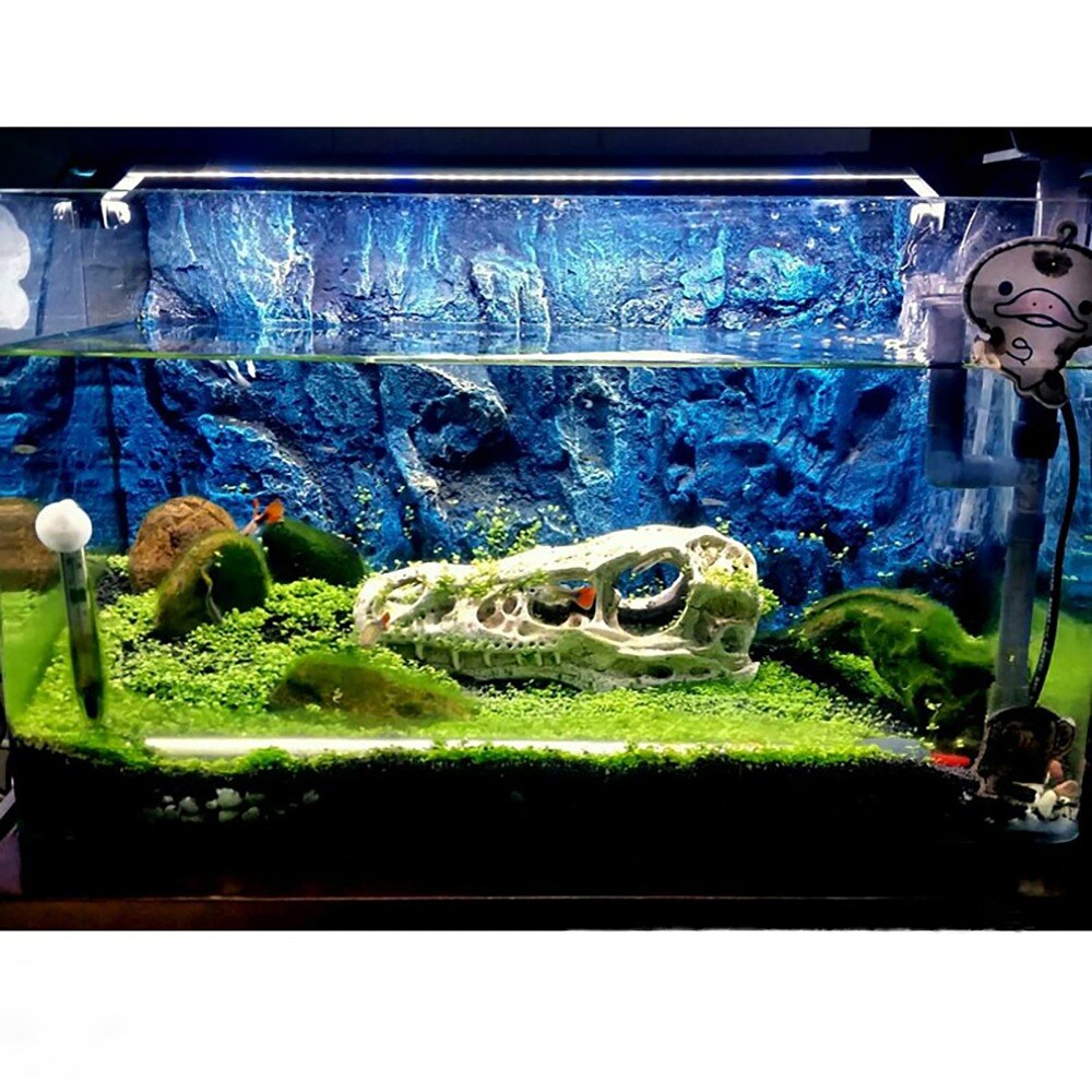 Décor de roche océanique, modèle de fond 3D, fond de mer, poisson, tortue, grenouille, Vivarium, Terrarium, Aquarium, décoration, pas d&#39;affiche