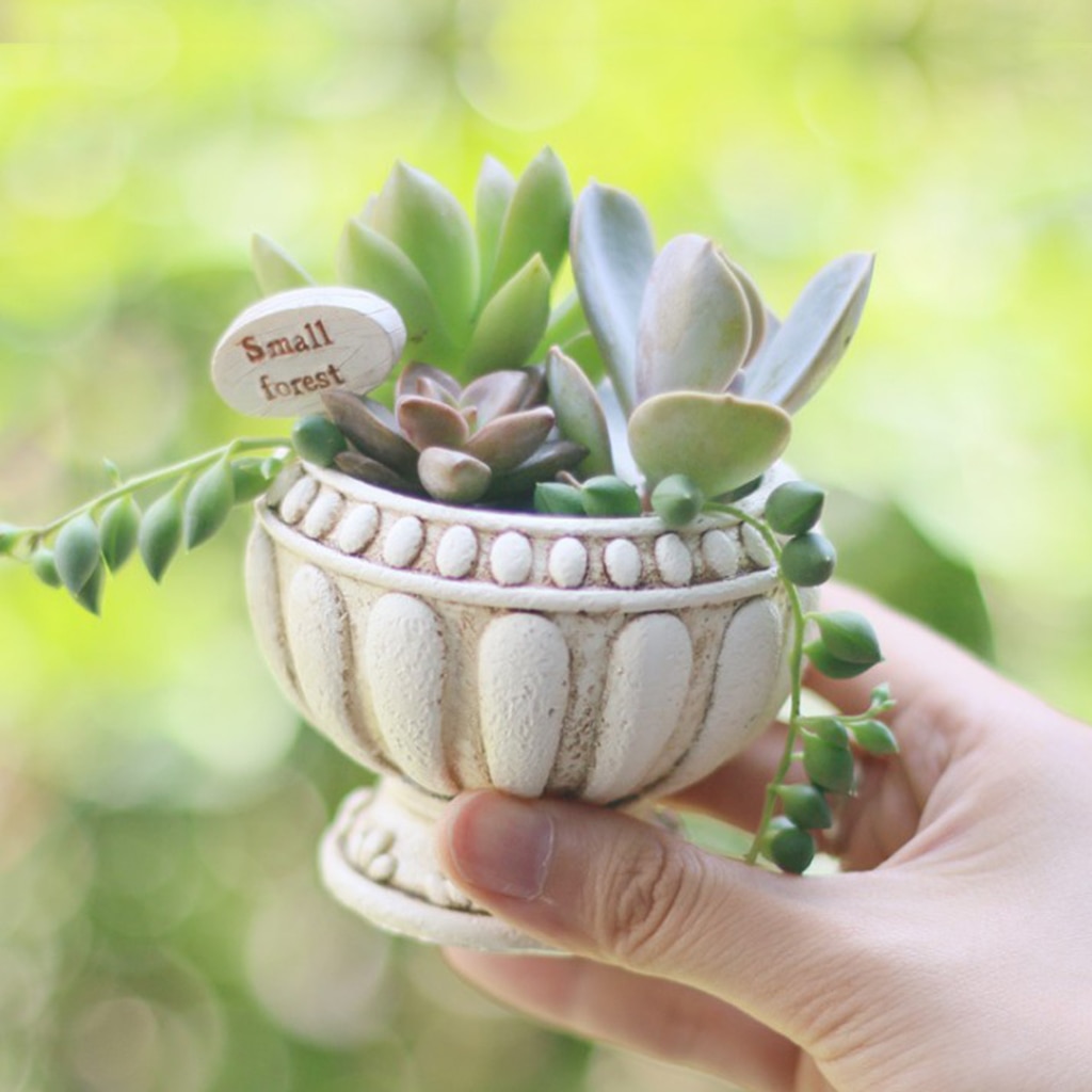 Vintage stil harpiks saftig planter potte kaktus planter boks fairy hage dekor diy hjemme desktop blomsterpotte