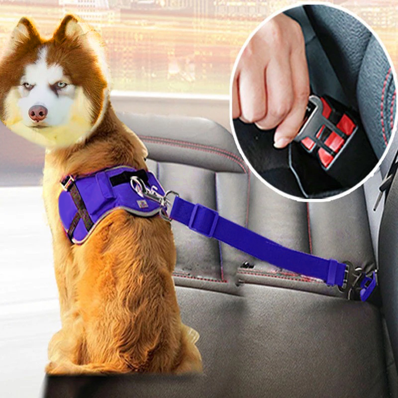 Pet Hond Kat Autogordel Voor Accessoires Verstelbare Harnas Lead Leash Kleine Medium Reizen Clip Franse Bulldog Dierbenodigdheden