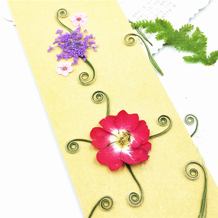 Marcapáginas prensadas naturales para manualidades, flores secas reales para manualidades DIY, de decoración facial, accesorios de joyería DIY, 24 Uds.