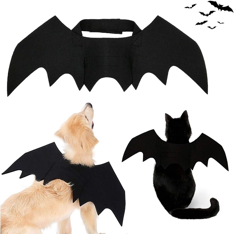 Vêtements pour chat à la , ailes de chauve-souris, Costume de chien drôle, aile artificielle, accessoire de Cosplay pour animaux de compagnie, Costume d'halloween et de noël pour chat, produits pour animaux de compagnie