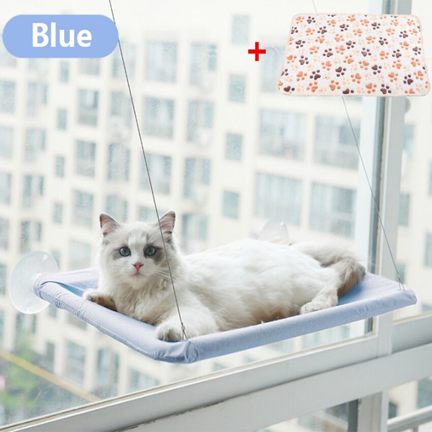 Hamac pour animaux de compagnie, lit-balançoire suspendu, siège de repos, perchoir, fenêtre, confortable, 20kg: Blue and blanket