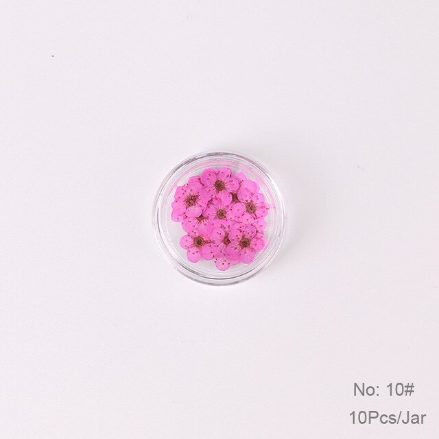 10 st  /1 box äkta nagelblommor gör-det-själv naturliga torkade blommor naglar konst dekoration torr flowe manikyr tillbehör blomdekaler: 10