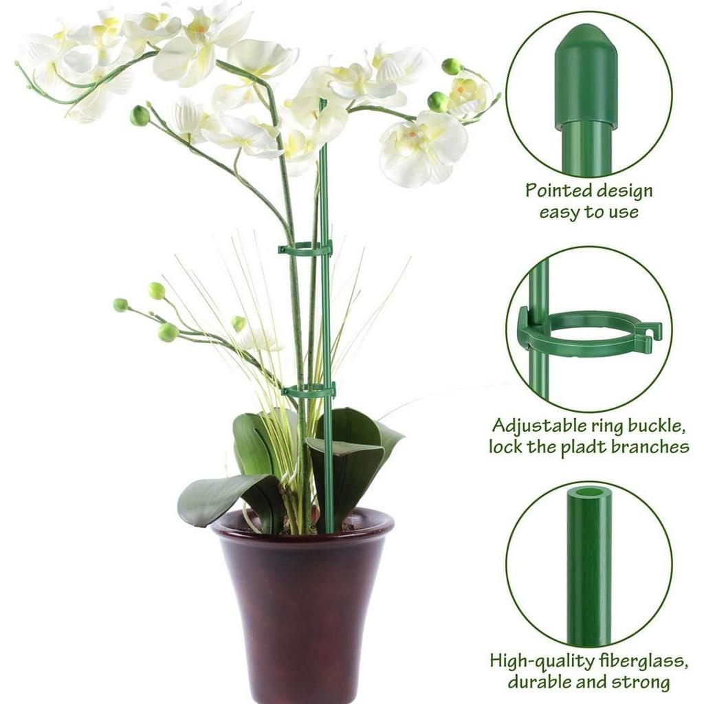 Plant Stakes Adjustable Plant Support Stakes for Medium and Small Indoor Plants Garden Stakes for Strong Plant Support