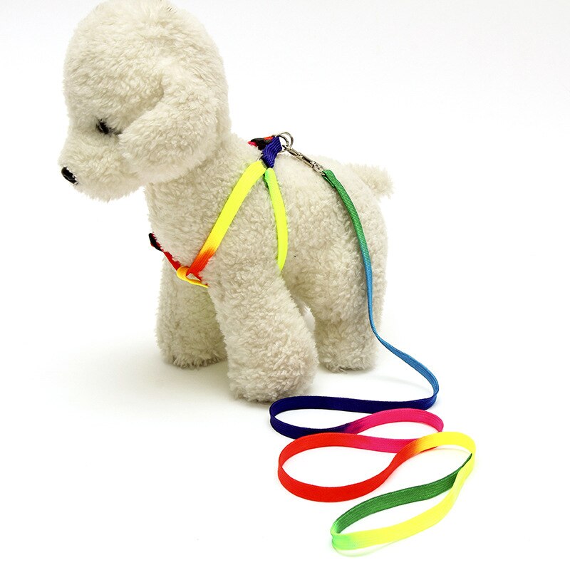 Hond kat harnas riem verstelbaar harnas vest riem halsband puppy kleine hond buiten wandelen chihuahua terier schnauzer