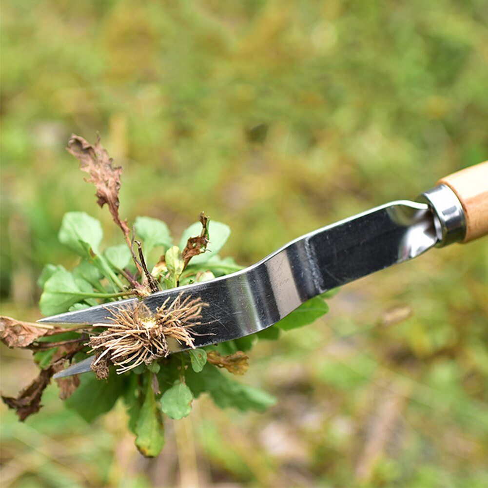 Gadgets de culture, outil manuel, dissolvant de poignée en bois, plantation, coupe de jardin légère, fourchette de désherbage manuelle, repiquage