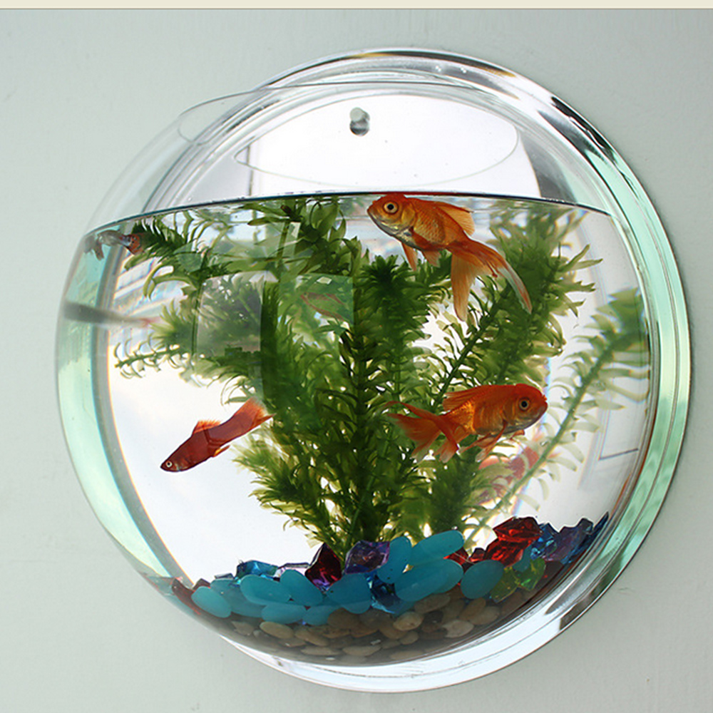 Maceta, planta de pared, cuenco colgante con burbujas, pecera, acuario, decoración artística para el hogar, pecera para decoración del hogar, Bol de 15 Cm de diámetro
