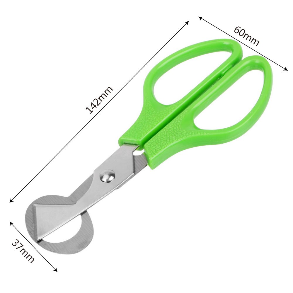 Quail Egg Shell Scissors Rust Resistant Kitchen Tools Cigar Cutters Multifunction Stainless Steel Blade Durable