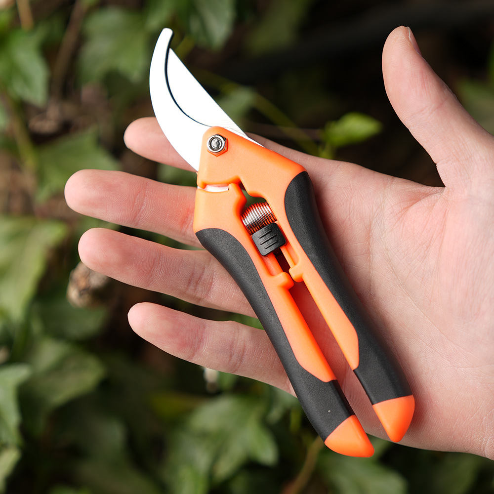 Mini Gardening Scissors for Pruning, Fruit Pruning, Pruning, Grape Picking, and Gardening Tools: WHITE