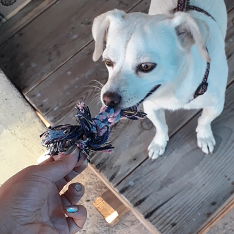 Kæledyr hund, der kan holdes op, dobbelt knude bomulds reb flettet knogleform hvalp tygge molar legetøj tænder rengøringsmateriel (tilfældig farve)