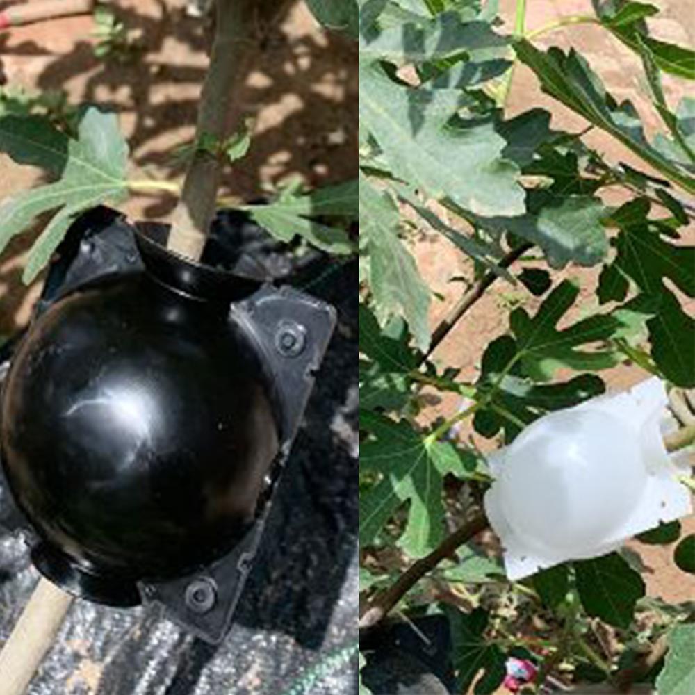 Plant Rooting Device High Pressure Propagation Ball High Pressure Box Grafting Plant Propagator