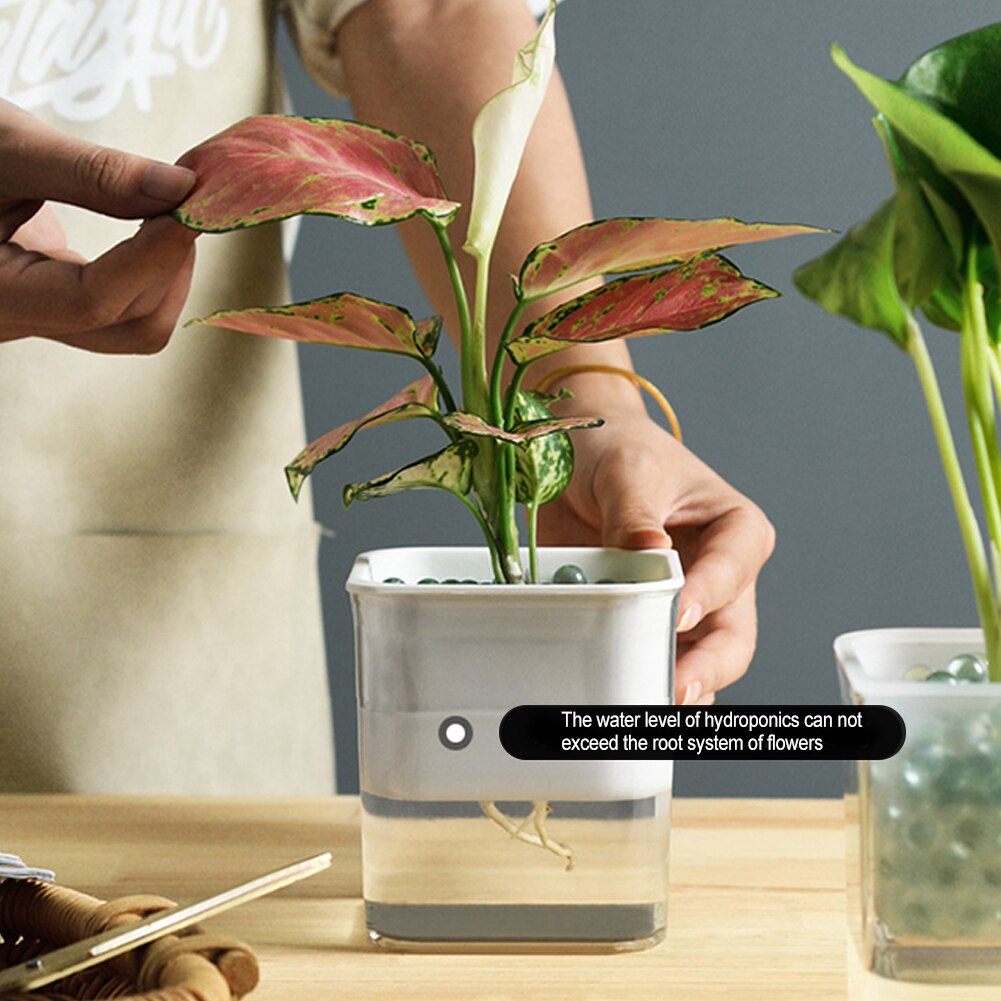 Household Flower Pot Transparent Automatic Watering Device Home Office Plastic Automatic Water Absorption Bonsai