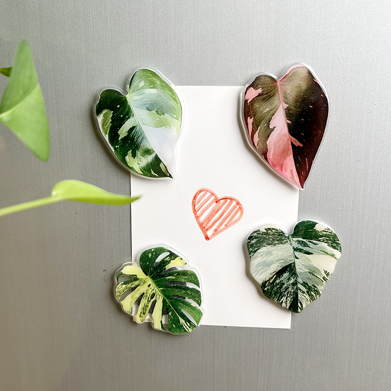4 Stück Pflanzenblatt Acryl Kühlschrankmagnet dekorativer Patch Acryl simuliertes rosa Prinzessinnenblatt: Ursprünglich Titel