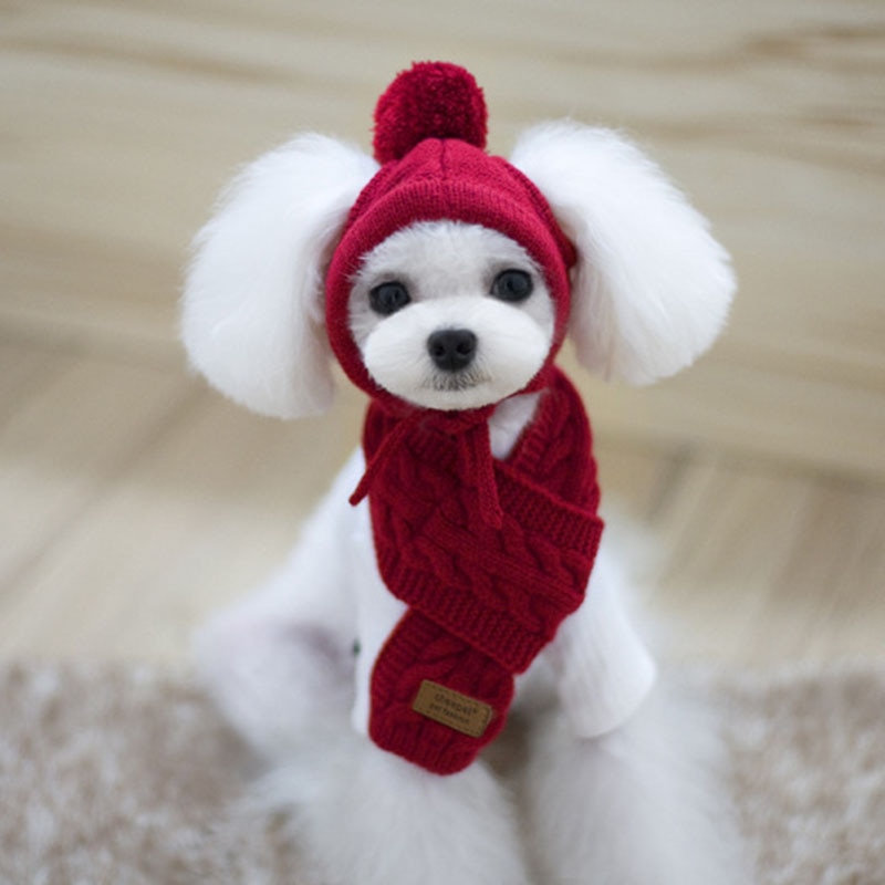 Mini chapeau d&#39;hiver tricoté pour animaux | Ensemble écharpe pour chiens, produits pour animaux de compagnie, Cosplay amusant, bonnet pour chien Chihuahua, accessoires pour chiots