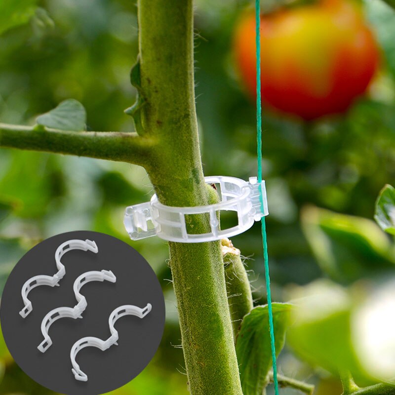 50/100 25mm herbruikbare klemmen, plastic plantensteunclips voor hangende planten, wijnranken, tuinkas, groenten, tomatenclips
