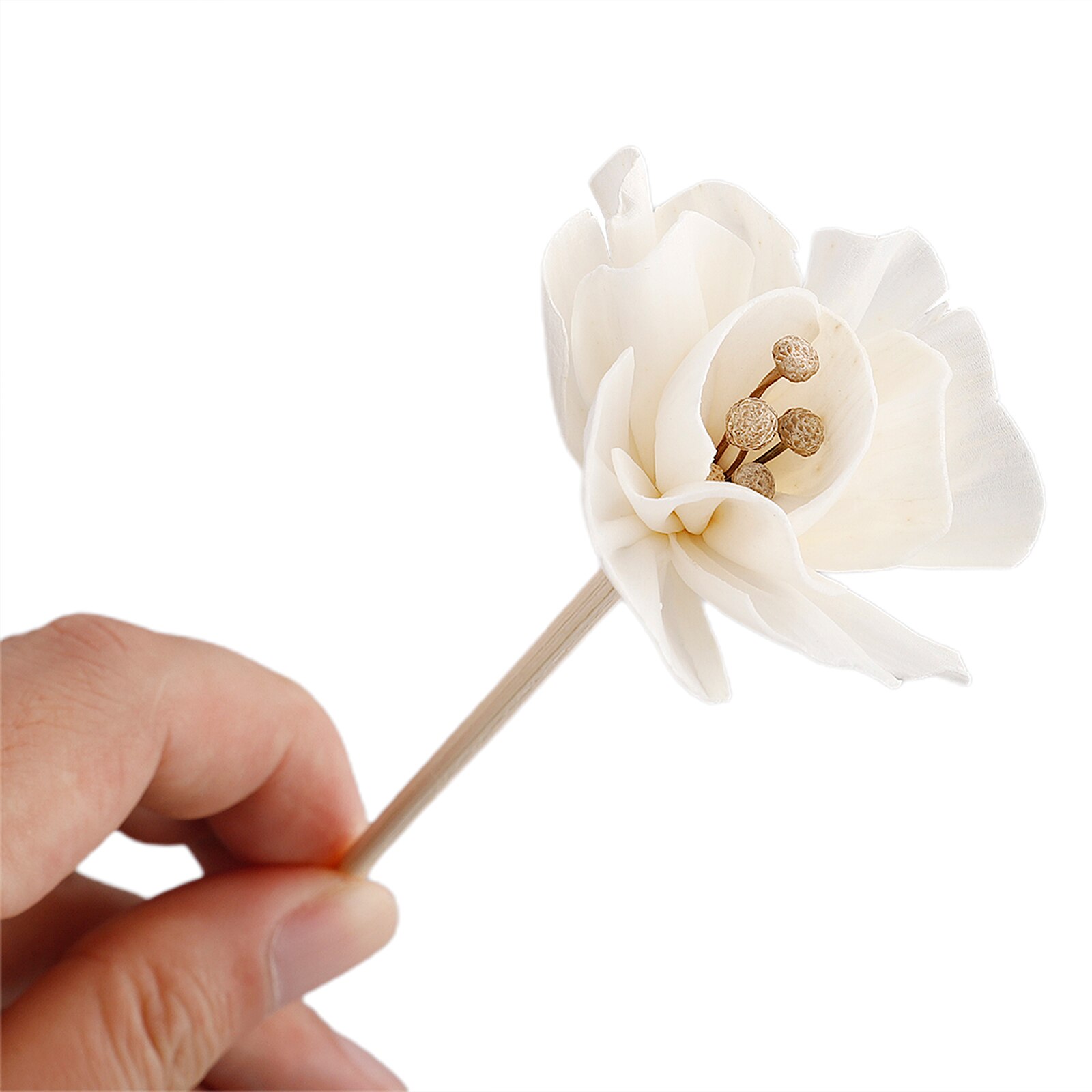 Aroma Oil Diffuser DIY Refill Sticks Aromatherapy Rattan Home Office Wood 6pcs Spa Bed Room Decoration Dried Flower