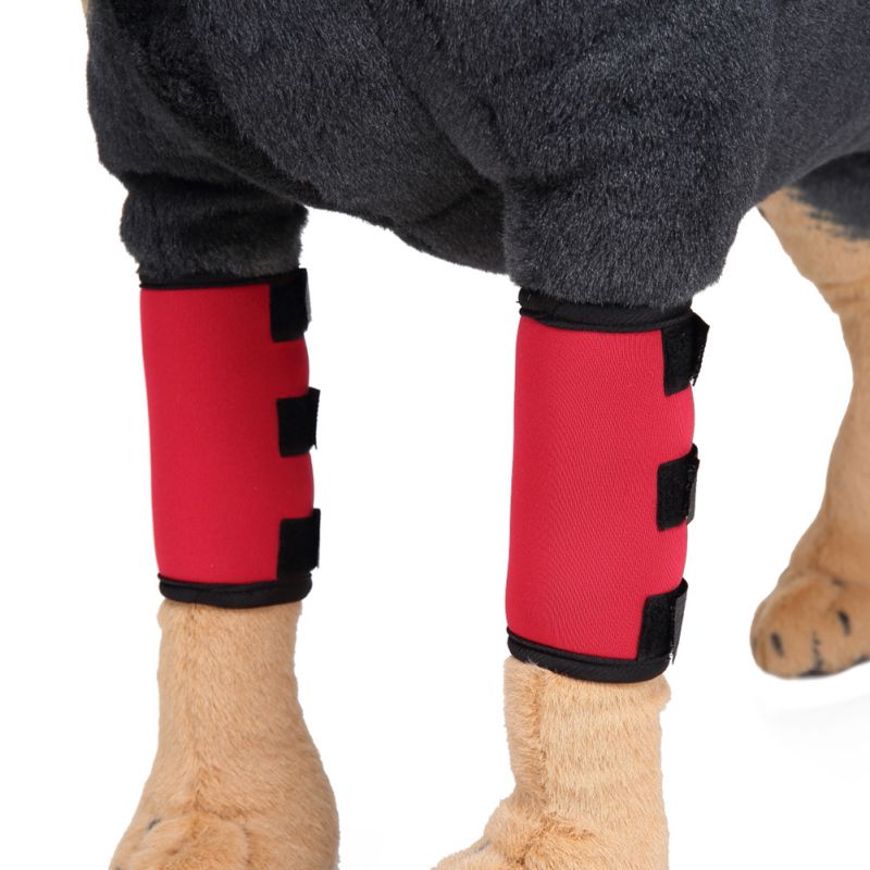 Une paire Canine chien jarret attelle jambe Joint enveloppe protège plaies Compression enveloppe aide arthrite stabilité orthèse pansement