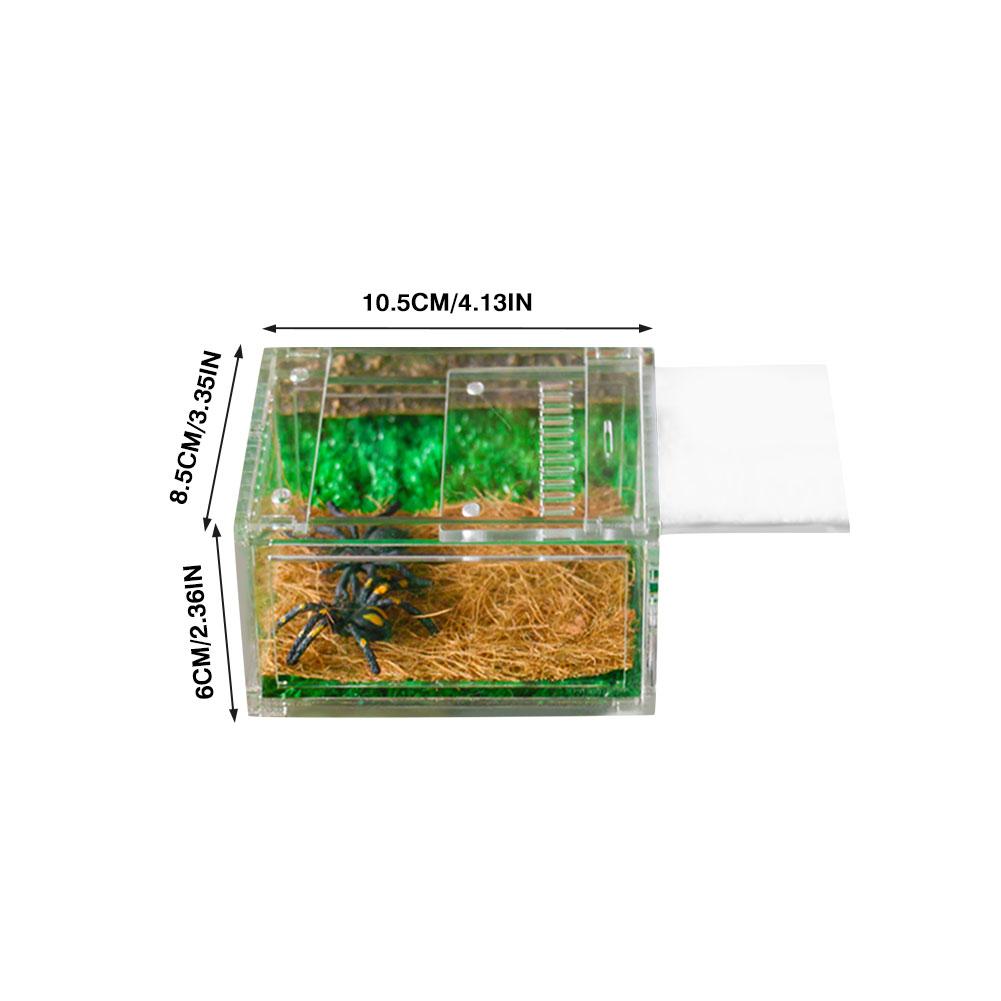 Acryl Spider Hagedis Schorpioen Enti 'S Acryl Gemonteerd Reptiel Fokkerij Doos Transparant Insect Ademend Terrarium: S