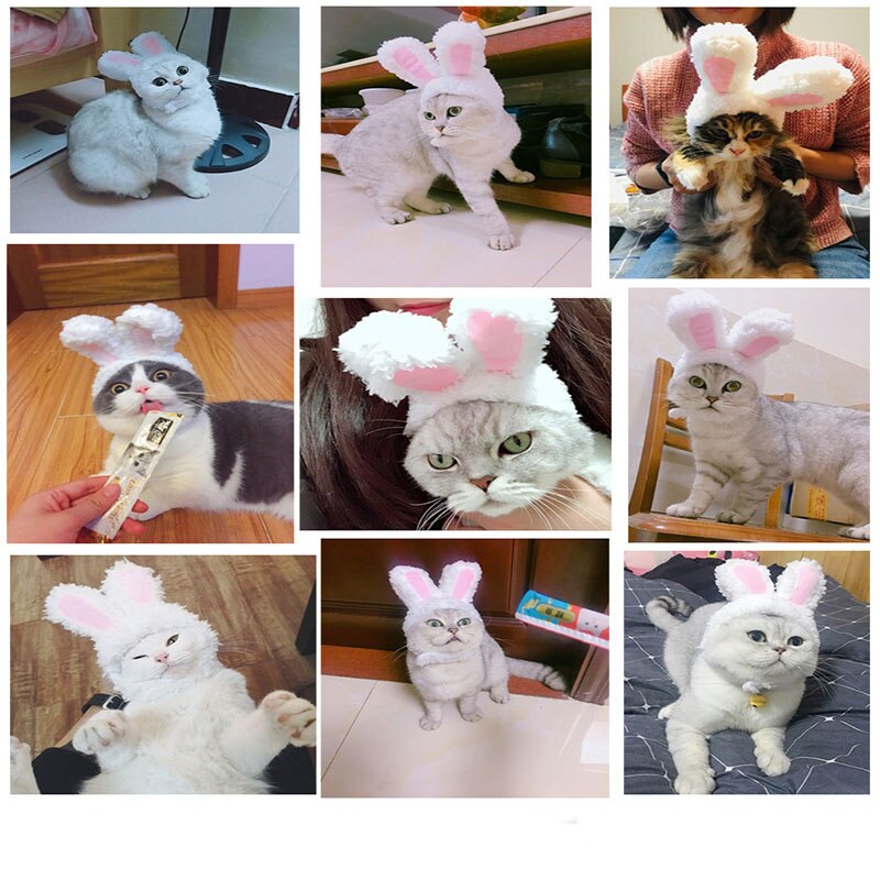 1 Piece Funny Cat Headgear Cute Rabbit Cross-Dress Hat Headdress Show Funny Pet Hat Ears Props Headwear