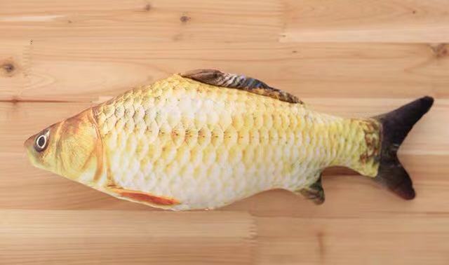 Pack Katzenminze Spielzeug für Katzen Fisch Spielzeug Simulation Plüsch Fisch bilden Spielzeug Puppe Interaktive Haustiere Kissen Kauen Biss trete für katze: Crucian Karpfen / M
