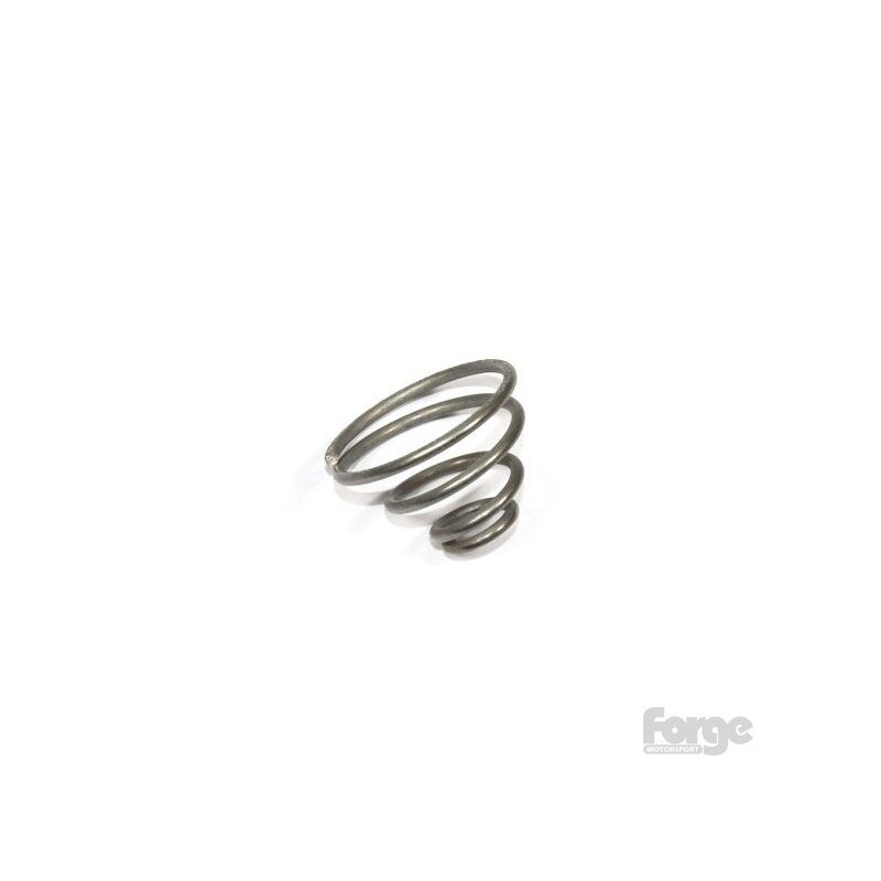 Uprated Valve Spring Voor Rs Kleppen Forge Fmrstun