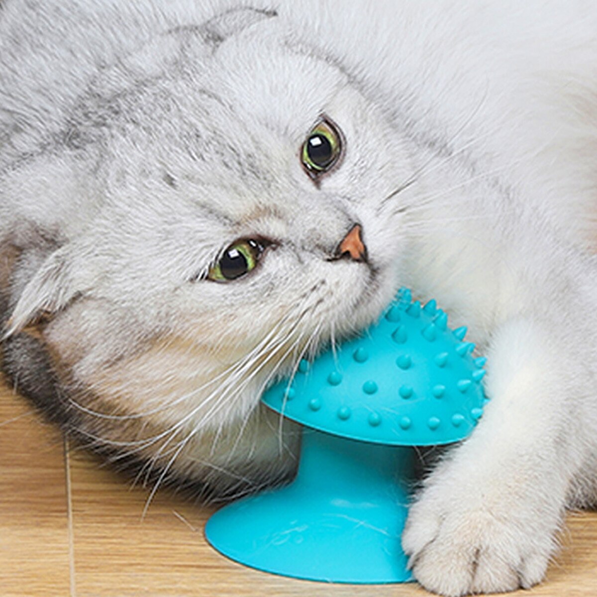 Pet Cat Comb Rubber with Suction Cup Cat Corner Brush Particles Massage Durable Kitten Self Groomer Trimming Catnip Pet Supplies