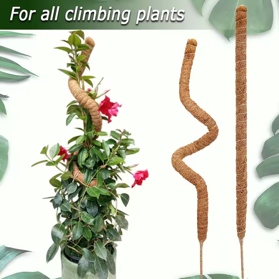 1pc pólo de musgo dobrável para plantas pólos de musgo para plantas de escalada | Suporte para plantas Monstera em fibra de palmeira de coco | Coco feito à mão
