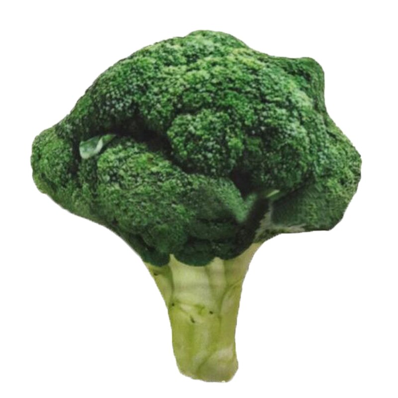 Hundleksaker bitsäker bomull tuggleksak valp interaktiva små leksaker grönsakstrumpinne för hundar katter husdjur produkter tillbehör: Broccoli