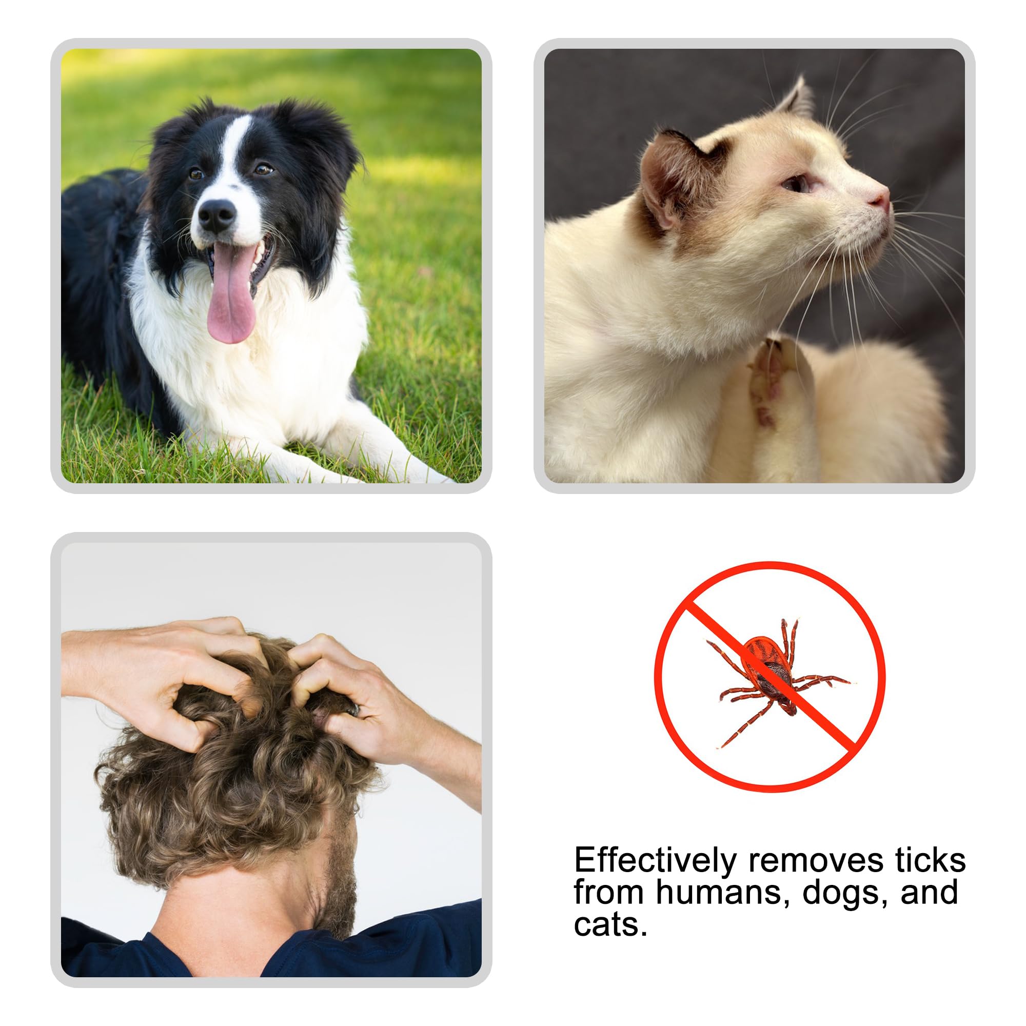 Loppefjerner krok flåttfjerning pinsett flåtttrekk kjæledyr katt hund tilbehør kloreuttrekker midd pinsett kam lus tang