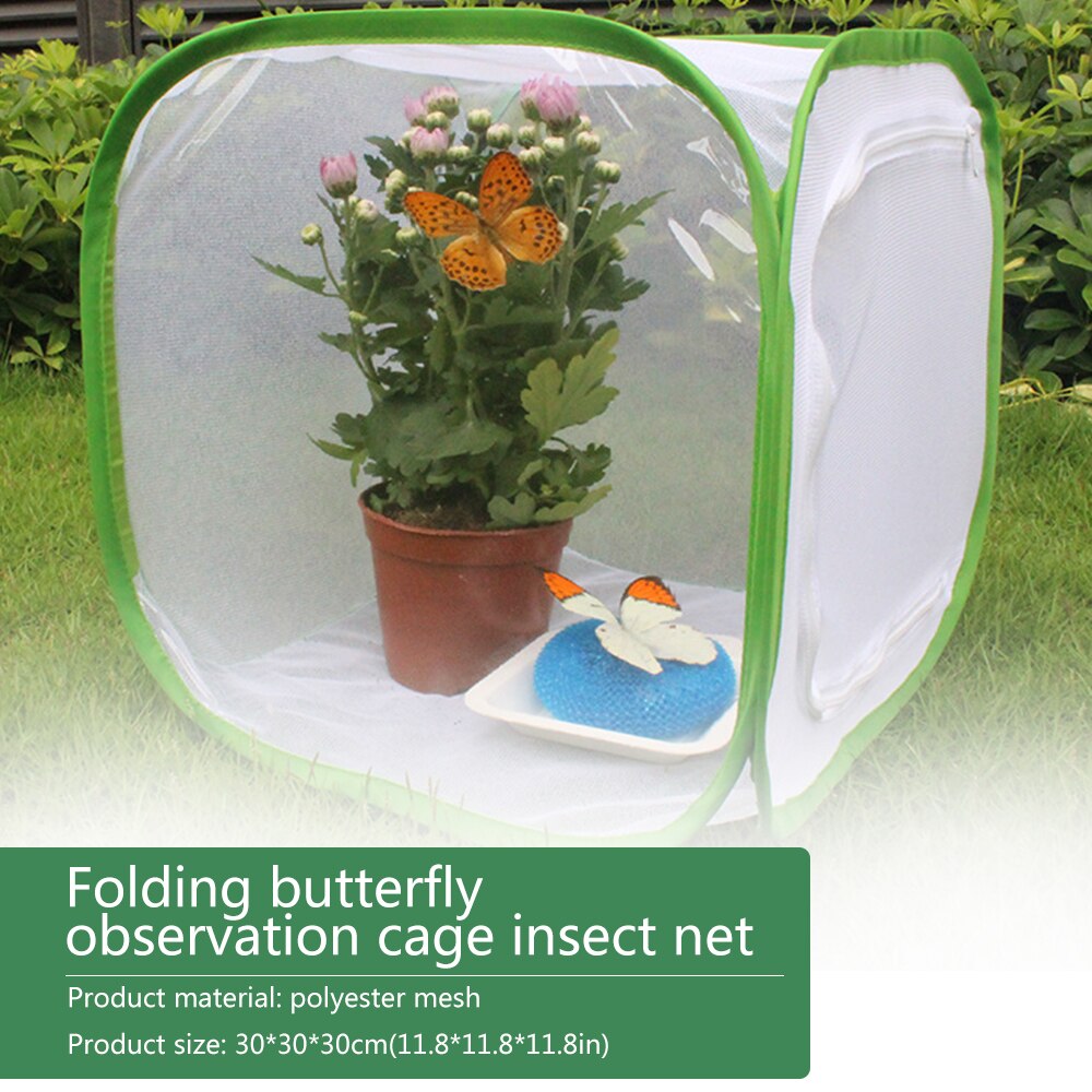Insect Cage Foldable Butterfly Habitat Mesh Transp... – Grandado