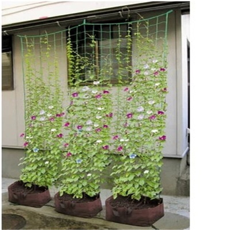 Filet en rotin pour plantes grimpantes, filet horticole, pour fleurs, Fruits et autres ornements de jardin, filet en rotin et filet en plastique