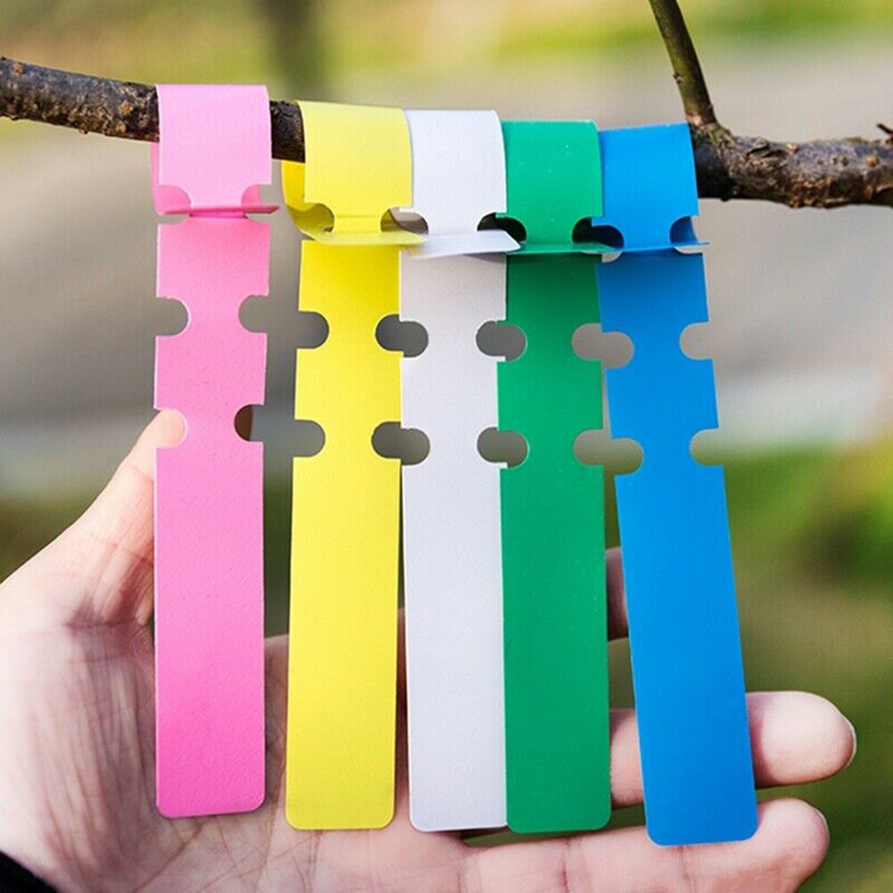 100Stck Garten Pflanze Baum Etiketten Hängen Name Stichworte Samen Kindergarten Marker Wasserdichte PVC Kunststoff