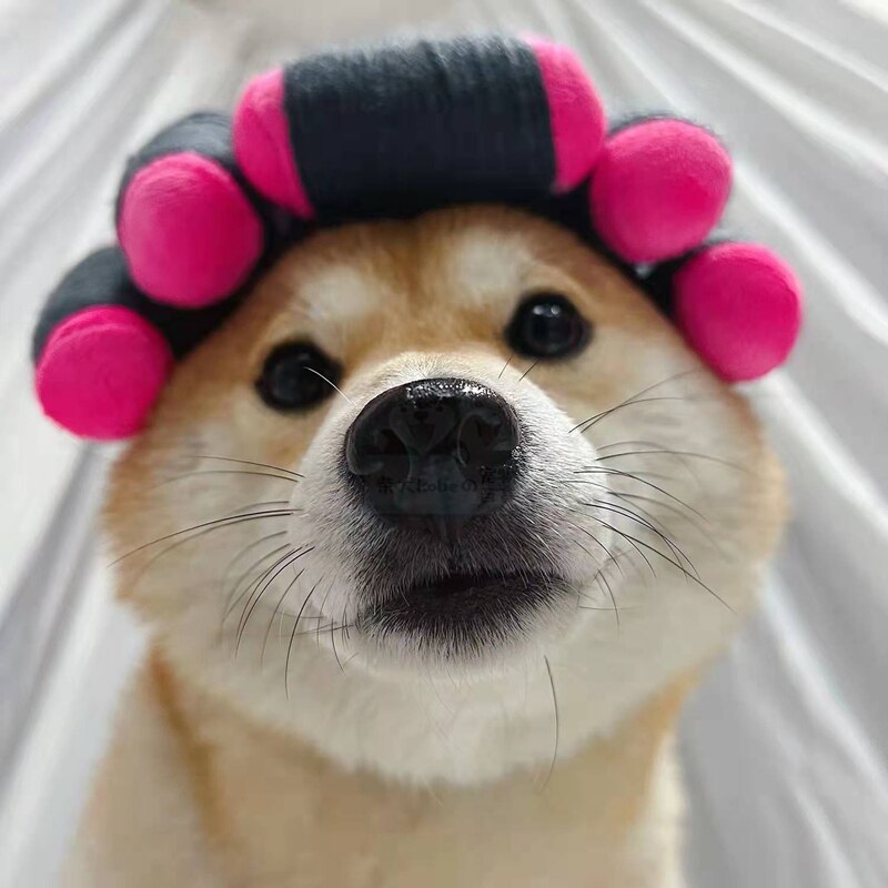 Peluca de gato con rulos para el pelo, Pelo Rizado Adorable, tocado, también adecuado para perros pequeños