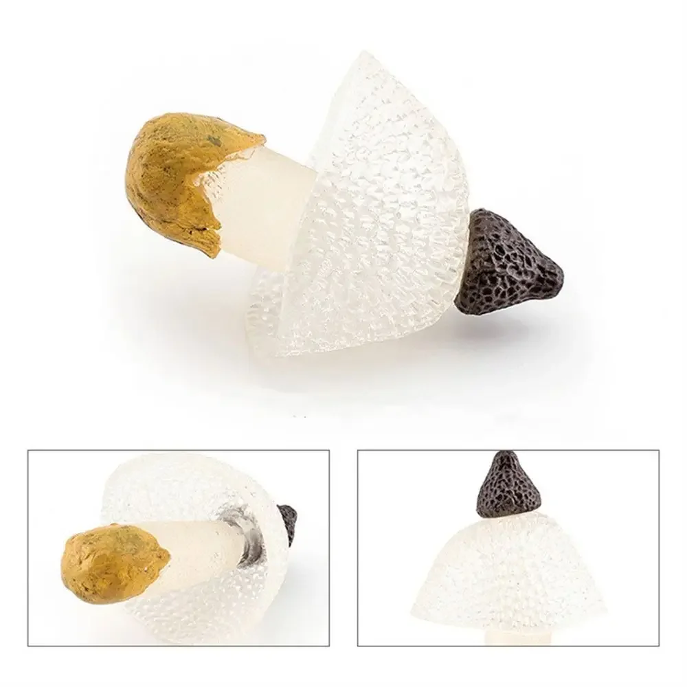 Modelo de vegetais estatuetas de fungos matsutake oyste simulação artificial cogumelo pleurotus planta modelo de fungo decoração de jardim: Verde claro