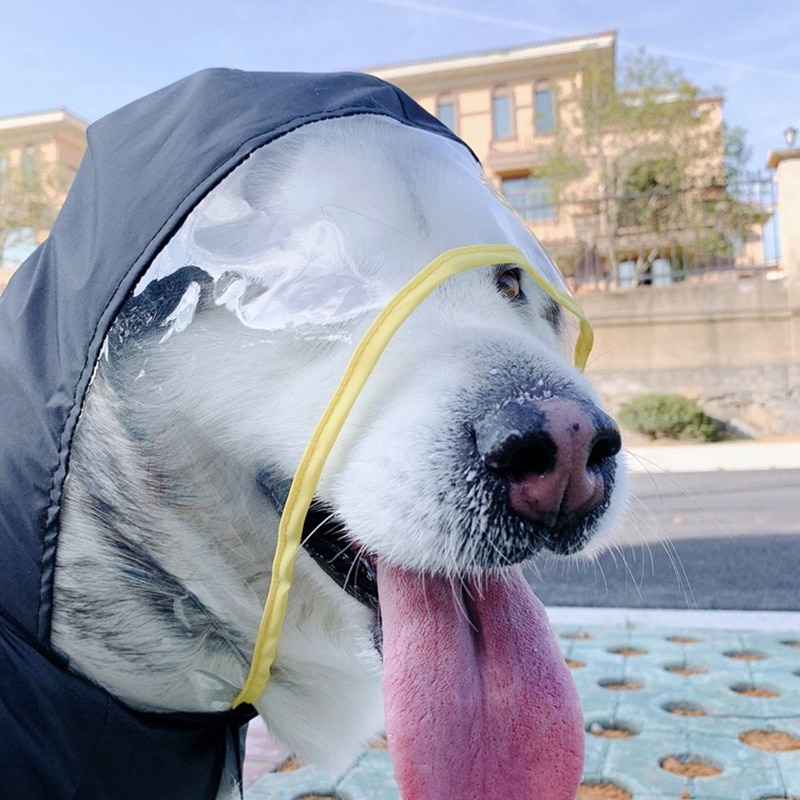 Propeller Hat For Dogs Sebaoyu Dog Hat Summer Dog Baseball Cap Pet Puppy Visor Dog Propeller Hat